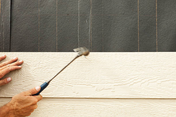 Affordable Siding Repair and Maintenance Services in Warsaw, VA